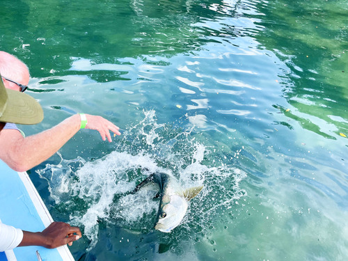 Belize  Belize City Hol Chan Reserve Excursion