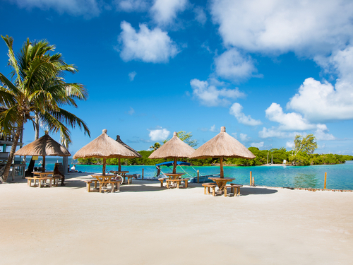 Belize Private Group Hol Chan Marine Park & Shark Ray Alley Snorkel, and Caye Caulker Island Beach Excursion
