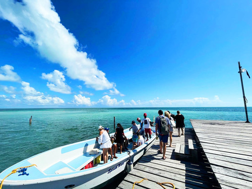 Belize Private Group Hol Chan Marine Park & Shark Ray Alley Snorkel, and Caye Caulker Island Beach Excursion