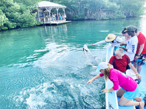Belize Private Group Hol Chan Marine Park & Shark Ray Alley Snorkel, and Caye Caulker Island Beach Excursion
