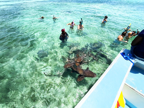 Belize Private Group Hol Chan Marine Park & Shark Ray Alley Snorkel, and Caye Caulker Island Beach Excursion