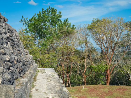 Belize City private tour Cruise Excursion Prices