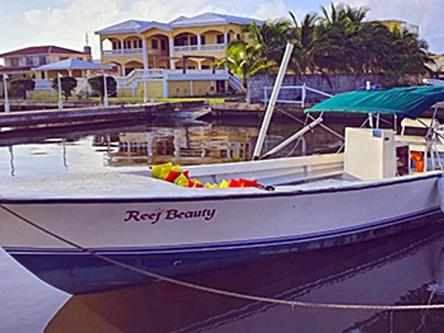 Belize Tarpon Feeding Snorkeling Tour Reviews