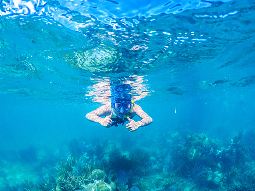 Belize Coral Gardens Snorkeling Excursion Reservations