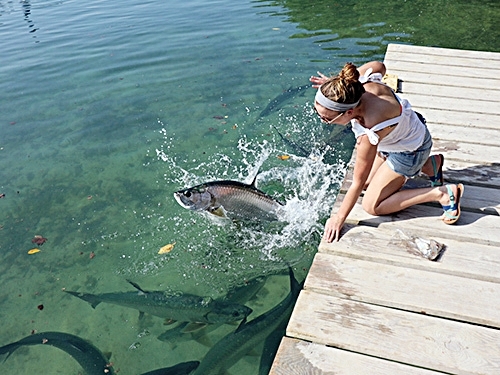 Belize Tropical Fish Snorkeling Tour Tickets