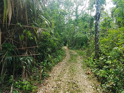 Belize Wildlife Biking Excursion Cost