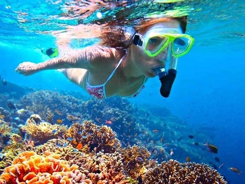 Roatan snorkel Shore Excursion Booking