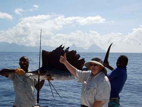 Castries Blue Marlin Tour Reviews