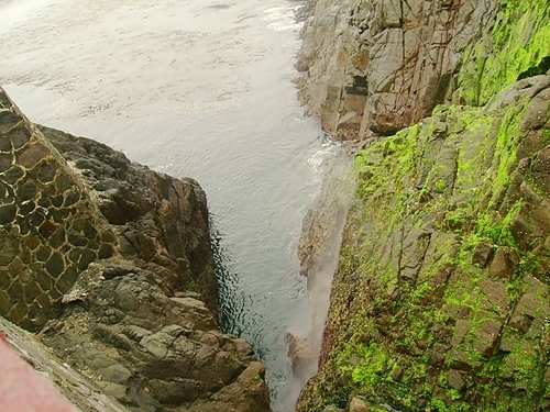 Ensenada Blowhole Shore Excursion Reservations