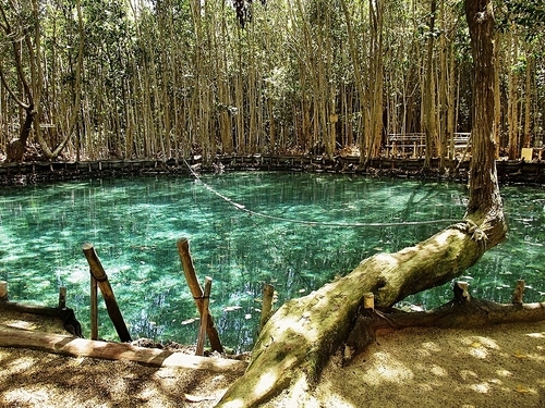 Progreso Cenote Natural Reserve With Beach Break Excursion