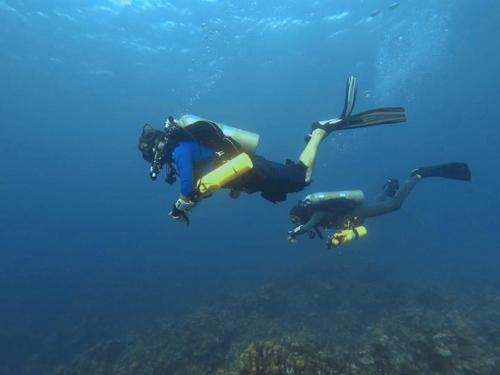 Roatan mr bud Diving Tour Reservations