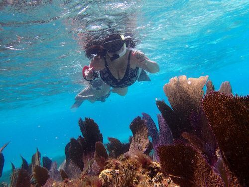 Belize Belize Goff's Caye beach Shore Excursion Booking