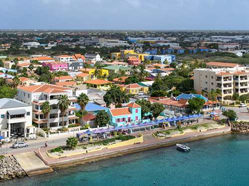 Bonaire 1000 Steps Sightseeing Shore Excursion Reviews