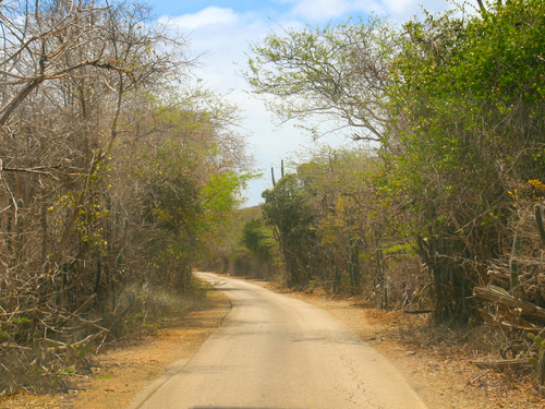 Bonaire Leeward Antilles Rincon Village Sightseeing Trip Booking