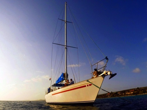 Bonaire (Kralendijk) coastal cruise Trip Booking