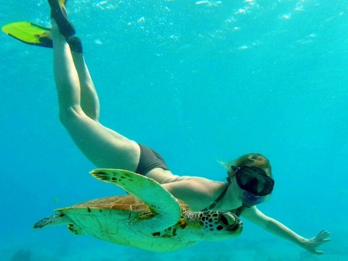 Bonaire sail and snorkel Excursion Reviews