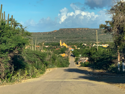 Bonaire Leeward Antilles Liquor Tasting Sightseeing Cruise Excursion Tickets