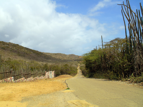 Bonaire Leeward Antilles Traditional Lunch Sightseeing Excursion Tickets