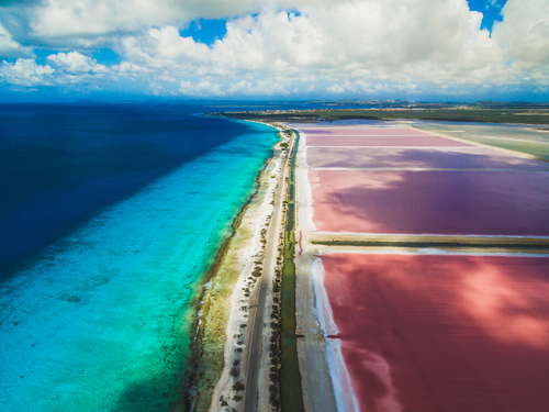 Bonaire Snorkeling Cruise Excursion Cost