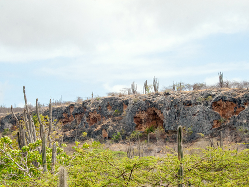 Bonaire Leeward Antilles Traditional Lunch Sightseeing Trip Reservations