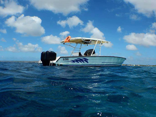 Bonaire Marine Park Snorkel Tour Cost