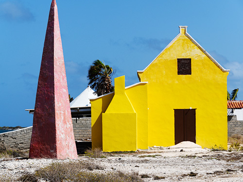 Bonaire Northeast Coast Sightseeing Cruise Excursion Reviews