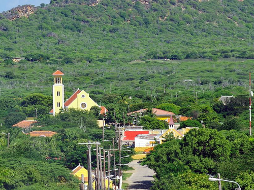 Bonaire Cactus Liquor Sightseeing Excursion Cost