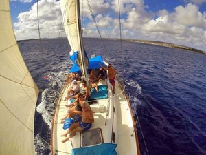 Bonaire Sail and Snorkel Excursion
