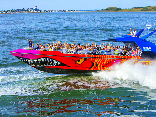 Boston thrill ride Shore Excursion Reviews