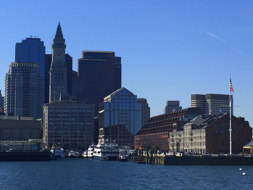 Boston  Massachusetts / USA whale watching Cruise Excursion Reviews