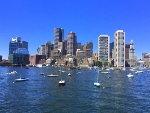Boston  Massachusetts / USA whale watching Tour Reservations