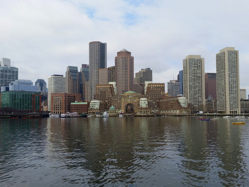 Boston  Massachusetts / USA whale watching Cruise Excursion Reviews