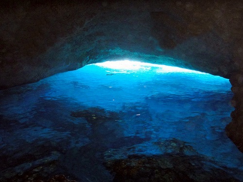 Curacao Willemstad snorkel Tour Reservations
