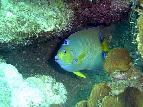Cartagena maximum depth 30 feet Cruise Excursion