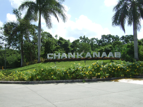 Cozumel Chankanaab Beach Park Snorkel And All Inclusive Day P Beach Park Day P S Excursion Tickets Cozumel Chankanaab All Inclusive Trip