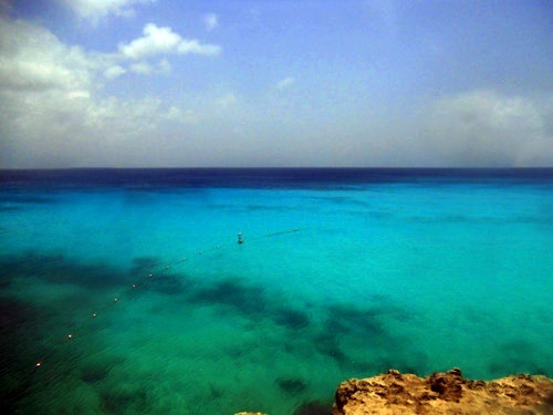 Curacao snorkel Trip Cost