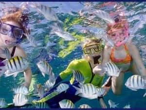 Cabo San Lucas 2 Bay Guided Snorkel Excursion