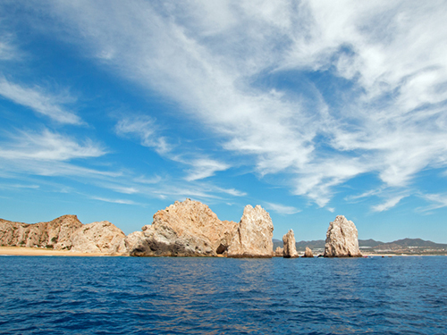 Cabo San Lucas Mexico Sea Lion Colony Sightseeing Tour Cost