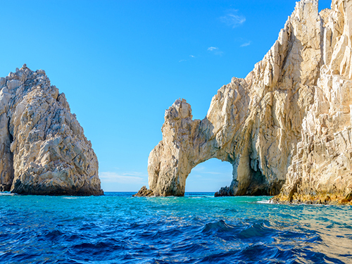 Cabo San Lucas Mexico Whale Watching Sightseeing Excursion Booking