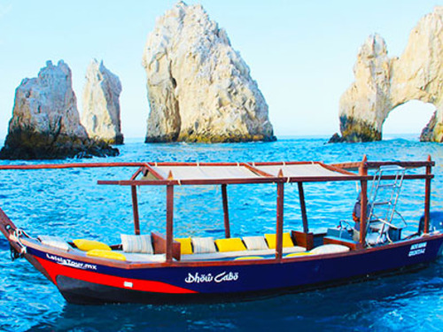 Cabo San Lucas Mexico Whale Watching Sightseeing Trip Prices