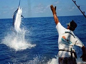 Cabo San Lucas Private Sport Fishing Charter Excursion