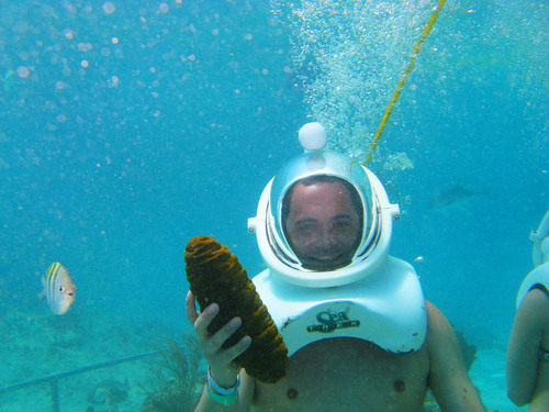 Cabo San Lucas Sea Trek Adventure Excursion 