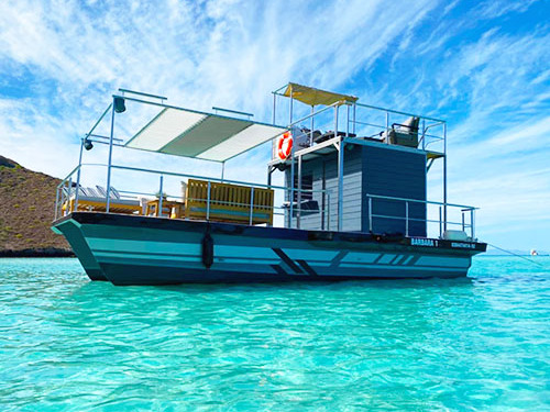 Cabo San Lucas Mexico Floating Fun La Isla Shore Excursion Booking