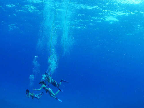 Cabo San Lucas Snuba Experience Excursion