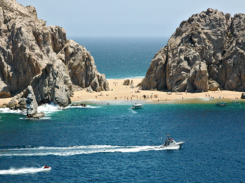 Cabo San Lucas Mexico Wild Life Sightseeing Trip Prices