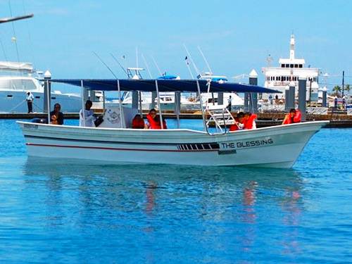 Cabo San Lucas Cabo San Lucas Lands End Sightseeing Boat Shore Excursion Cost