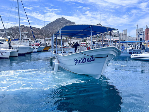 Cabo San Lucas Cabo San Lucas Lands End Sightseeing Boat Cruise Excursion Reservations