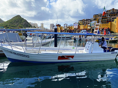 Cabo San Lucas Lands end cruise Shore Excursion Tickets