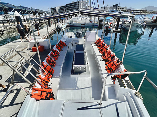 Cabo San Lucas Cabo San Lucas Lands End Sightseeing Boat Trip Tickets