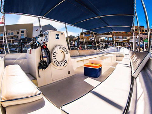 Cabo San Lucas Cabo San Lucas Lands End Sightseeing Boat Excursion Booking